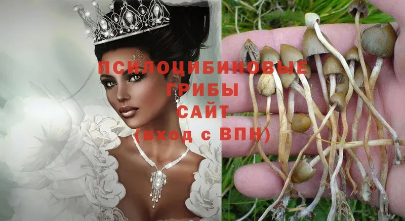 Псилоцибиновые грибы Magic Shrooms  купить наркотики цена  Еманжелинск 